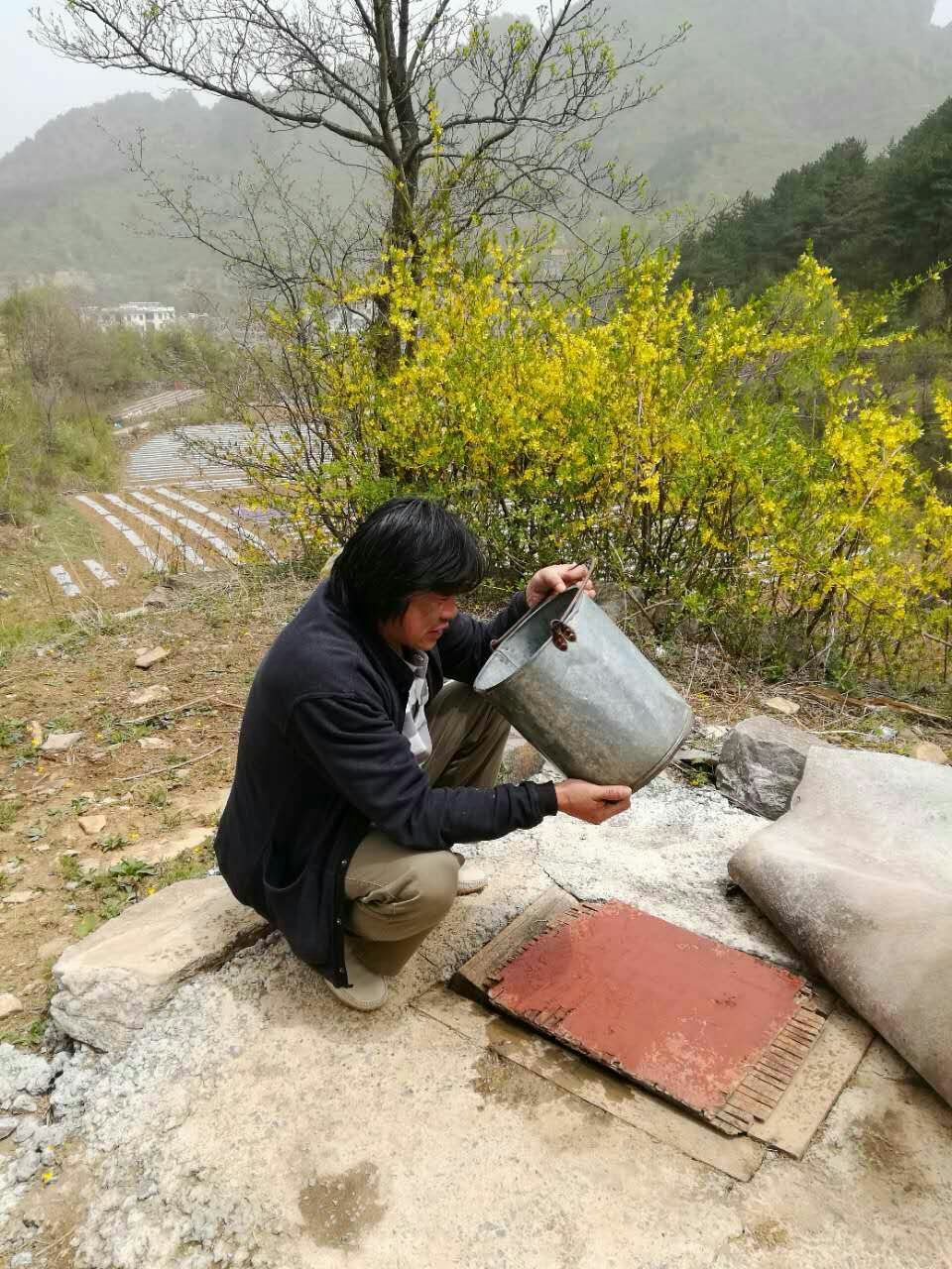 母亲，您别再骗我……靳军榆树沟写生日志