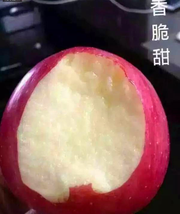 听说洛川苹果熟了，他们都在中国洛川苹果网购买