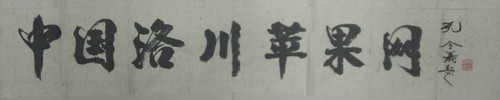 孔令义将军为中国洛川苹果网题字