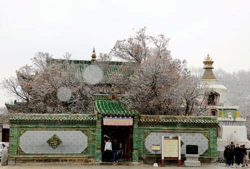 雪游塔尔寺：感受佛教圣地别样的魅力