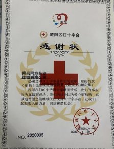 同方药业捐赠红十字会价值10万余元的防疫物资