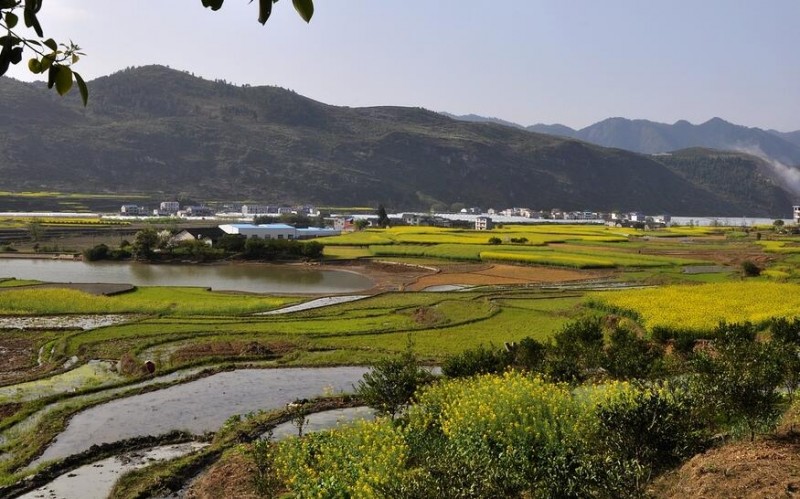 重庆酉阳红土地文学社会员作品选