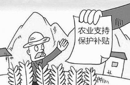 黑龙江泰来县汤池镇长达20年套取国家种粮补贴近千万元 农民种