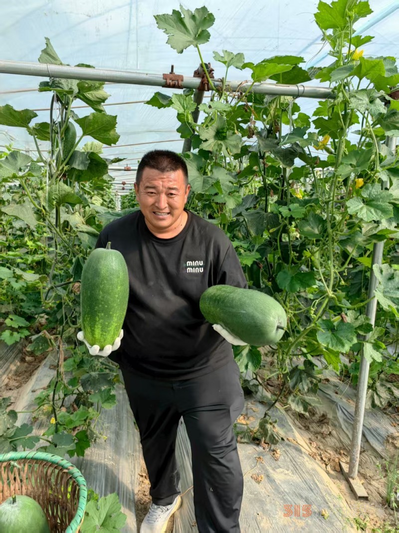 高原上的鲁商引擎——林芝市鲁商产业园的藏区协同发展纪实