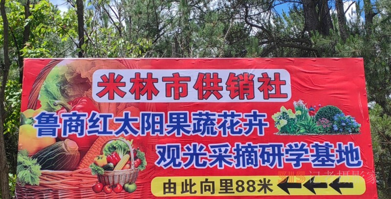 高原上的鲁商引擎——林芝市鲁商产业园的藏区协同发展纪实