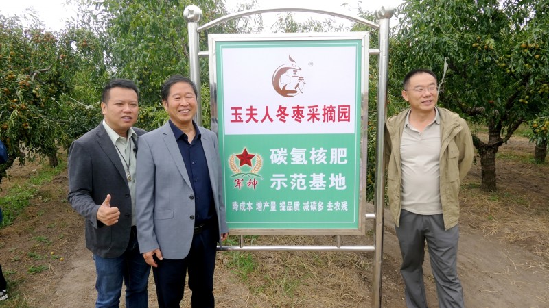 黄骅碳氢核肥冬枣基地迎丰收:增产三成零农残,绿色种植结出“放心果” 黄骅碳氢核肥冬枣基地迎丰收:增产三成零农残,绿色种植结出“放心果”